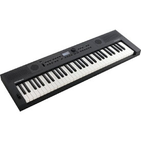 【まとめ買いで最大15％OFFクーポン(8/17まで）】 Roland｜ローランド 電子キーボード グラファイト GOKEYS5-GT [61鍵盤]【rb_makerC】