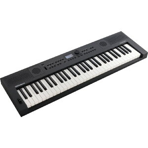 Rolandb[h dqL[{[h Ot@Cg GOKEYS5-GT [61]
