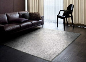 X~mGbSUMINOE lIOX6@261×352cm O[yTCYI[_[\z