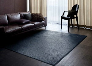 X~mGbSUMINOE lIOX6@261×352cm lCr[yTCYI[_[\z