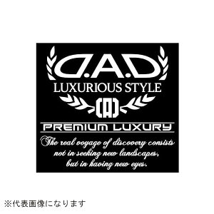 GARSONbM\ DADv~AOWA[XebJ[@ST079 ST079-01