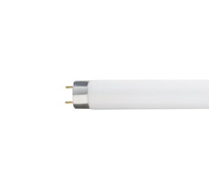 IXbOSRAM OSURAM u FL15W 25{Zbg FL15WX25 [G13 /F]