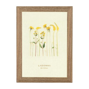 LADONNAbhi ؐtHgt[ DF53-L-BR