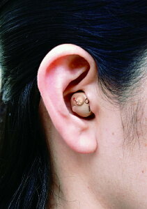 t@~[ECtbFamily-life jREGV[ fW^Ȍ^⒮ EZbg