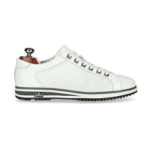 OR[|[VbGLEN CORPORATION StV[Y XpCNX nhCh[EU43F27.4cm] zCg POT-M [Y]