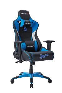 yGg[ōőSz|CgҌb10/5z AKRacingbG[P[[VO Q[~O`FA [V[g W390xD545xH1270`1340mm] Pro-X V2 Dragons(hSYf) PRO-X/BLUE/DRAGONS