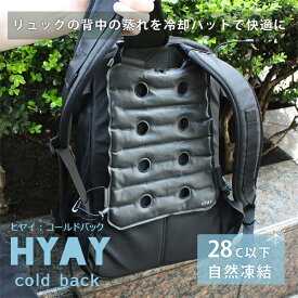 ロイヤル｜ROYAL HYAY COOL BACK 74211200
