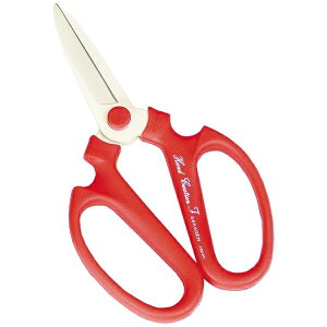 ⌹bSakagen ⌹ #147 nhNG[VF195 