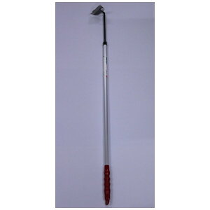 �L���{�V�bKINBOSHI GS #140491 �ʂ˂��z�[ �����O