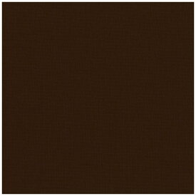清原｜KIYOHARA 生地 kokochi fabric パレットカラーハンプ 11号帆布 50cmカットクロス ブラウン KOF02-50