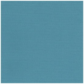 清原｜KIYOHARA 生地 kokochi fabric パレットカラーハンプ 11号帆布 50cmカットクロス ライトブルー KOF02-50