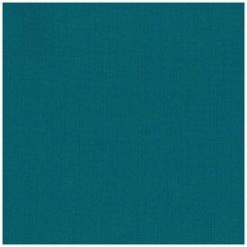 清原｜KIYOHARA 生地 kokochi fabric パレットカラーハンプ 11号帆布 50cmカットクロス サックスブルー KOF02-50