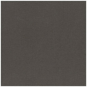 清原|KIYOHARA 生地 kokochi fabric パレットカラーハンプ 11号帆布 50cmカットクロス グレー KOF02-50