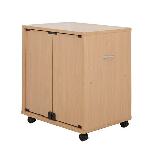 [pA[gbJueiart lp ꃏS ʎ[ s45cm JAJAN i` DSW-T60N