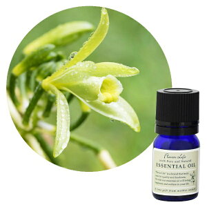 t[o[CtЁbFlavor Life t[o[Ct GbZVIC ojEAu\[g10 3mL