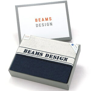 ^IpفbTowel Art Museum BEAMS DESIGNir[X fUCjx[VbNC ^IPbg1 ItzCg×lCr[