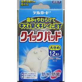 阿蘇製薬｜ASO Pharmaceutical デルガード クイックパッド 大きめサイズ 12枚入
