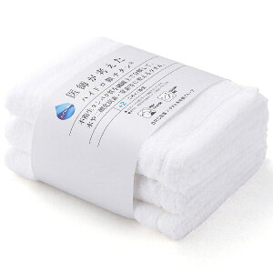 ^IpفbTowel Art Museum ^Cv@XoX^I@3Zbg@zCg nCh`^