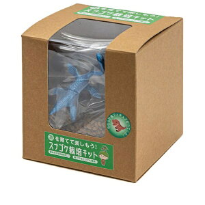 rbNA[bBigArrow rbNA[ XiSP͔|Lbg bigarrow-saibaikit