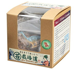 rbNA[bBigArrow rbOA[ XiSP͔|Lbgۍ͔| bigarrow-saibaikitin