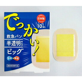 阿蘇製薬｜ASO Pharmaceutical デルガード救急バン 半透明タイプ ビッグ 10枚入【指定医薬部外品】