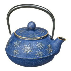 ⒒bIWACHU ⒒ }{ JGf 3^ ^[bpu[ BKY3601