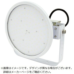 HƁbNICHIDO  nCfBXN100W dǔ^ F ^ Ch L100V2DHW50K y[J[EsEԎwEԕisz