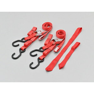 fCgibDAYTONA ^C_Exg V[Y@^CvFJobN bh 41930