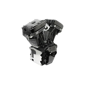 �G�X�A���h�G�X�T�C�N���bS&S Cycle Inc T111 �G���W��ASSY 585 BLK ED BIG TWIN 99-06 310-0830A