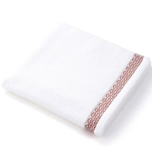 ^IpفbTowel Art Museum ɗ\Ђ gijoX^Ii60×120cmj sN