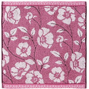 ^IpفbTowel Art Museum All@EHbV^I@p[v 