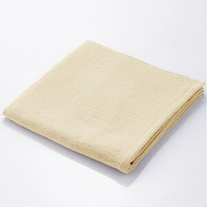 ^IpفbTowel Art Museum MiRAi YAKUMO oX^Ii60×120cmj x[W