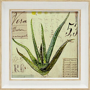 [p[bYOU POWER ~jQ A[gt[ AWF X^[OuAGxv