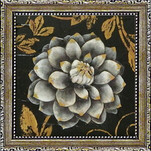 [p[bYOU POWER ~jQ A[gt[ X^WIMubNX t[1v