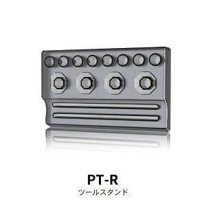 DspiaebfBXyC PT-R c[X^h