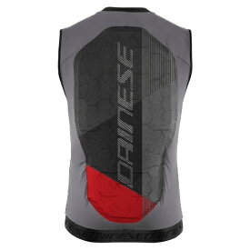 ダイネーゼ｜DAINESE メンズ スキーセーフティベスト FLEXAGON WAISTCOAT 2 MAN(XSサイズ) SILVER-FILIGREE/CASTLE-ROCK 48700003