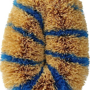 T̎qqXbKAMENOKO TAWASHI NISHIO SHOTEN T̎q V}V}~j N ij