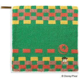 タオル美術館｜Towel Art Museum Disney KIDEA IRODORU ループ付きウォッシュタオル（約34×34cm） ウッディ