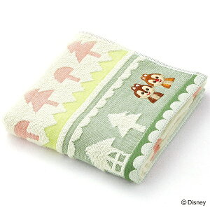 ^IpفbTowel Art Museum Disney KIDEA HANAYAGU xr[tFCX^Ii34×65cmj `bvf[