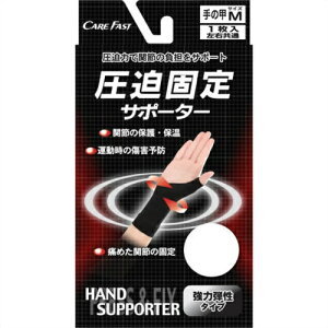 VbSHINSEI PAt@Xg ŒT|[^[ ̍b M