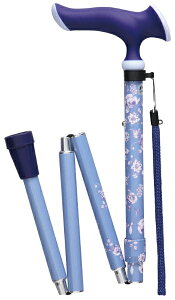 tWz[bFuji Home 邪t@ ܏S t[