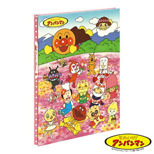 iJoVbNakabayashi tGAoAp}(Ԕ) A-A4P-121-4-2[AA4P12142]