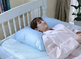 篠原化学｜Shinoharakagaku フォスフレイクスピロー ロイヤーレピロー 50×70cm ブルー FF-5070-RL