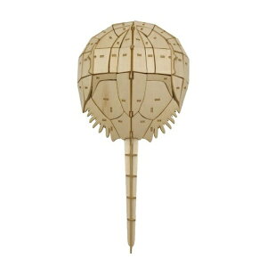 vUNGCgbPLAZA CREATE Ŋ뜜V[YJugKj