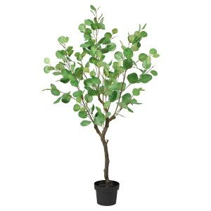 yGg[ōőSz|CgҌb12/11܂Łz AXJbASCA COMPANY tFCNO[@[J@O[ A-50966-051A