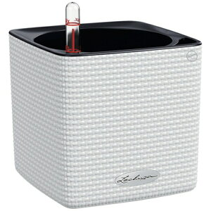 geobrabQIu `[U@ʋv^[@L[uJ[14@zCg