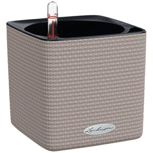 geobrabQIu `[U@ʋv^[@L[uJ[14@Th