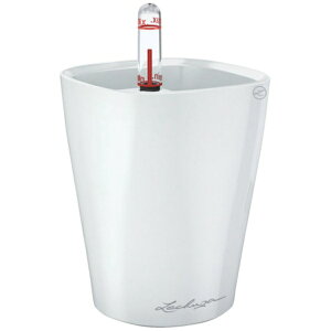 geobrabQIu `[U@ʋv^[@~jfeB[j@ye0D4L@zCg