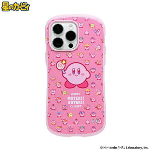 HAMEEbn~B miPhone 14 Pro MaxpñJ[rB iFace First ClassP[X iFace J[rB/CLOSET 41-976944