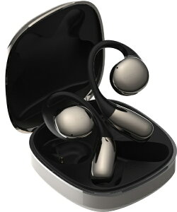 AVIOTbArIbg SCXCz Silver TE-H1-SL [CX(E) /BluetoothΉ]